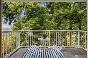 Darling Balcony overlooking the back forest area and partial views
