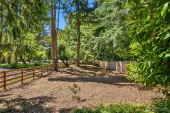 Newly cleared and fenced area--garden space? Dog run?