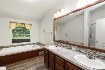Large 5 Piece Primary Bathroom