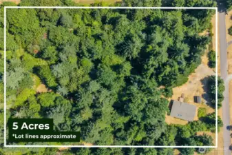 5 Acres Of Level, Wooded Lot