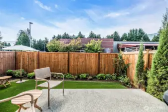Back yard
