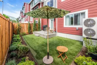 Back yard