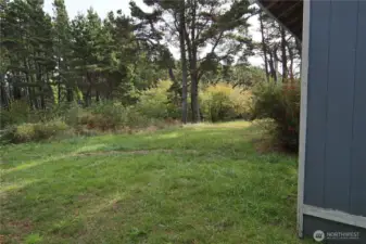 Front yard