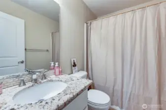 Lower level full bathroom!