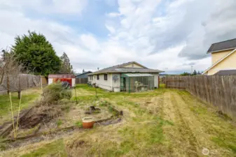 Large back yard with full sun and garden space...