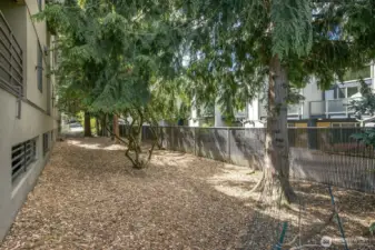 Large fully fenced dog run for owners and their pups behind the building. This is only for the residents of The Court at Sand Point.