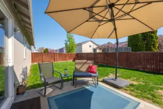 Back Patio