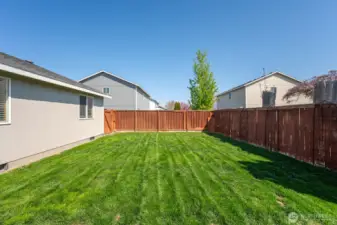 Fenced Backyard