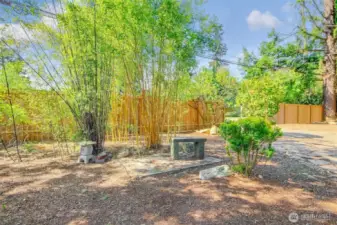 Beautiful front landscaping - various types of bamboo.