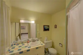 Lower level bathroom