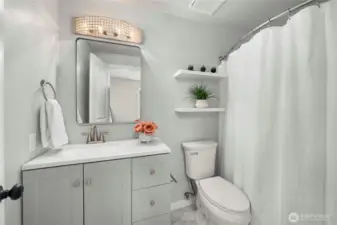Full guest bathroom -