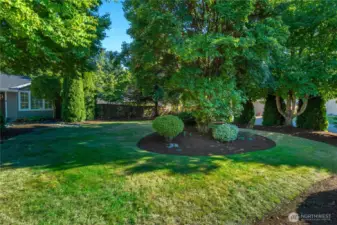 Front yard curb appeal! Enjoy this spacious front yard with trees for some added privacy!