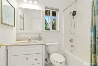 Master on main bathroom, part of 2005 addition