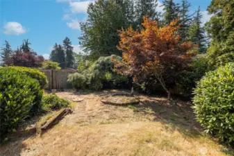 More backyard space