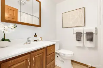 Downstairs full guest bathroom