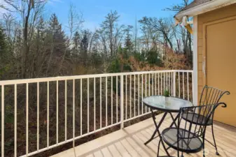 The back deck area faces to the South w/ views over the back lawn space & trees for privacy. You get the sunshine on a nice day! There is also a convenient storage closet to the right side of the deck.