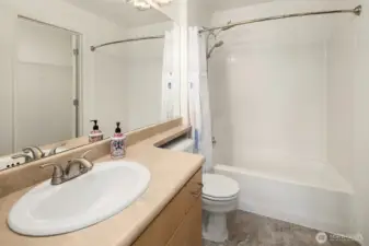 The master bathroom with Shower over the Tub