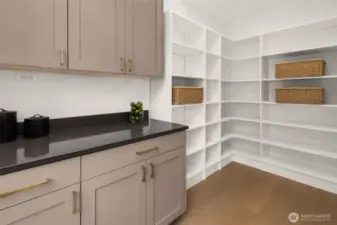 Oversized pantry off kitchen with custom cabinets and prep counters