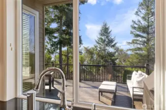 Beautiful Lake Sammamish Views!