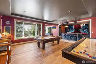 Game room/media room.