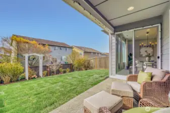 Beautiful Backyard for Seattle sunny days!!