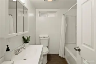 Basement MIL Bathroom