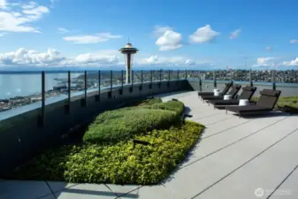 Outdoor living shared space