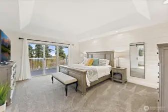 Main Floor Primary Bedroom