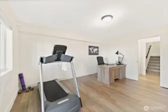 Lower Level Bonus Room