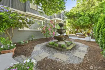 Front yard