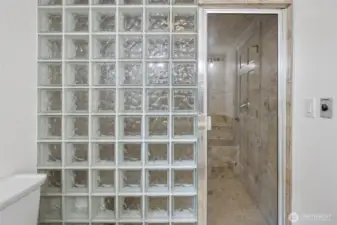 Steam Shower