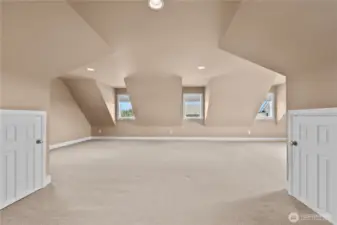 Huge bonus room over garage