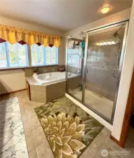 Walk-in shower with tub