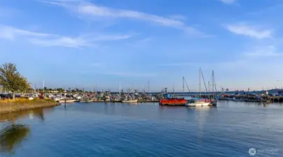 Blaine marina.