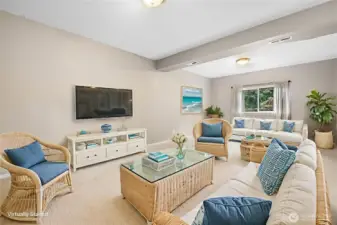 Lower level rec room