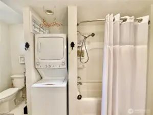 Washer/Dryer and Bathtub