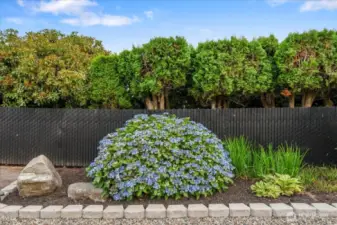 Gorgeous mature landscaping throughout property