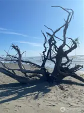 Some of the local scenery