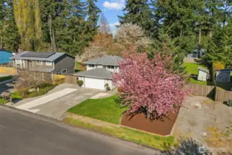 1/3 Acre, Fully Fenced, w/ Privacy and, Mature Landscaping, Play Gym, Chicken Coop, Raised Flower Beds, Bay Leaf and Plum Tree!