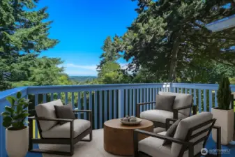 Virtually Staged View Deck