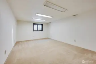 Bonus room or 4th bedroom with large walk-in closet