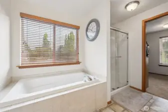 Primary Bath soaking tub- enjoy wooden blinds throughout the home for increased privacy.