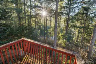 Sunshine, trees and a view of the lake - what more could you want!
