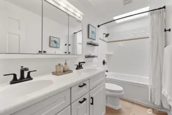 Second full remodeled bathroom with skylight