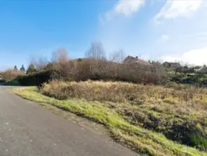 Photo taken from road looking at parcel showing brush