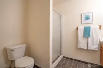 lower level bath