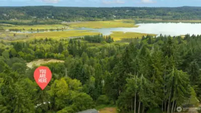 Ideal location for outdoor lovers: you have private access to Beard’s Cove waterfront park, and  you're close to Belfair State Park... enjoy the tide flats, beaches, wetland trails, and other recreation opportunites galore!