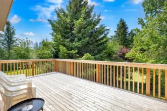 Deck off of Kitchen and Great Room area - recently repaired and stained!