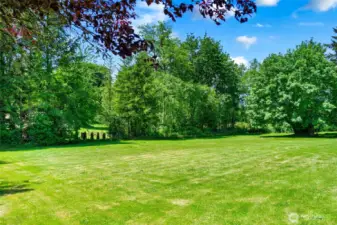 Beautiful backyard w/ a total of 2.3 acres!