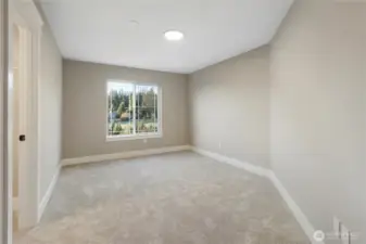 White grid windows